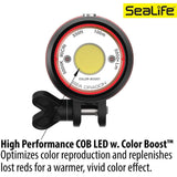 SeaLife Sea Dragon SL680 5000 Underwater Lighting Set - Sea Dragon 5000 Photo/Video Light Head with Color Boost, Protective Neoprene Sleeve, Adapters, and Accessories