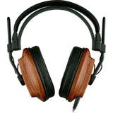 Fostex T60RP RP Stereo Headphones (African Mahogany Wood Housings) Bundle with Auray UHC-725 Headphones Case