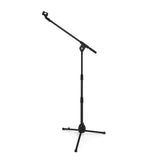 Warm Audio WA-19 Dynamic Microphone (Nickel) Bundle with Kellards PST2 Adjustable Height Microphone Stand with Boom and XLR- XLR Cable