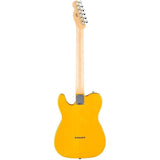 Fender Standard Telecaster Electric Guitar - Butterscotch Blonde Bundle with Fender Classic Guitar Picks 12-Pack, 10ft Series Instrument Cable Black, Logo Guitar Strap 2in Black with White