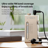 FiiO RR11 Portable HiFi FM Stereo Radio Receiver with Analog PVR Tuning, BASS+3D Sound Effects, 64MHz-108MHz (Silver, Hi-Res Audio Certified)