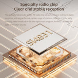 FiiO RR11 Portable HiFi FM Stereo Radio Receiver with Analog PVR Tuning, BASS+3D Sound Effects, 64MHz-108MHz (Black, Hi-Res Audio Certified)