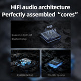 FiiO BR13 HiFi Bluetooth 5.1 Music Receiver Long Range Bluetooth Adapter with USB DAC, LDAC/aptX Low Latency, OLED Display & RCA Optical Coaxial Output for Home Stereo,PC/TV