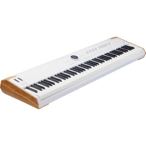 Mother Mantis: Arturia Astrolab 88 Avant-Garde Stage Keyboard with Analog Lab Pro Integration Arturia