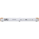 Arturia Astrolab 88 Avant-Garde Stage Keyboard with Analog Lab Pro Integration