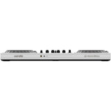 Pioneer DJ DDJ-FLX10 4-Channel DJ Controller for rekordbox and Serato DJ Pro (Limited-Edition White)