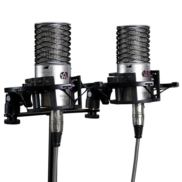 Aston Microphones Origin Large-Diaphragm Cardioid Condenser Microphone (Stereo Pair)