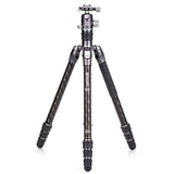 Benro RHINO #2 Carbon Fiber FRHN24C+VX25 Kit