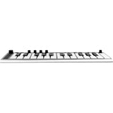 ESI Xsynth Ultra-Thin 25-Key Synthesizer with Integrated Master Keyboard and Audio/MIDI Interface