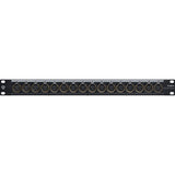 Black Lion Audio PBR XLR 16F D-Sub Rackmount 16-Channel XLR Female to DB25 Patchbay