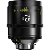 DZOFilm Arles FF/VV Prime Cine 6-Lens Set (ARRI PL)
