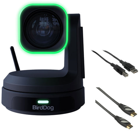 BirdDog X1 Ultra PTZ Camera with 12x Zoom (Black) Bundle with 6' HDMI Cable and 6ft USB 2.0 Cable