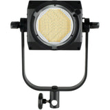 Nanlite FS-300 AC LED Spotlight