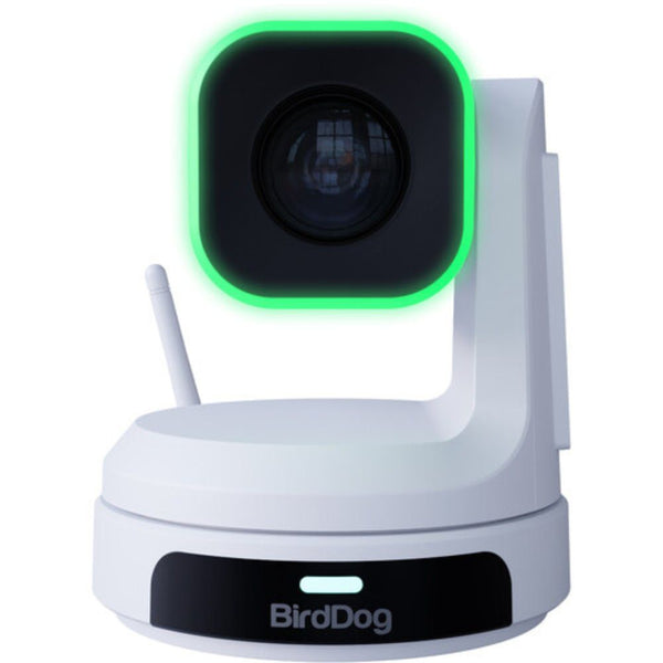 BirdDog X1 PTZ Camera with 20x Zoom (White)