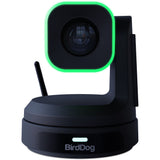 BirdDog X1 PTZ Camera with 20x Zoom (Black) Bundle with 6' HDMI Cable and 6ft USB 2.0 Cable