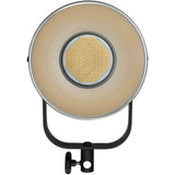 Nanlite FS-300 AC LED Spotlight