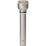 Warm Audio WA-19 Dynamic Microphone (Nickel)