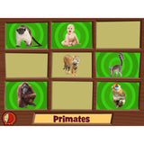 LeapFrog Animal Genius Learning Game (works with LeapPad Tablets, LeapsterGS, and Leapster Explorer)