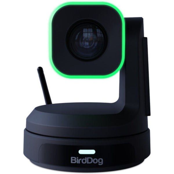 BirdDog X1 PTZ Camera with 20x Zoom (Black)