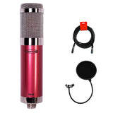 Avantone CV-12 Multipattern Large Capsule Tube Condenser Mic Bundle with Pop Filter & XLR Cable