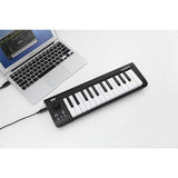 Korg microKEY 25 USB MIDI Keyboard