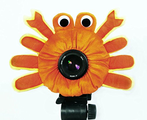 Camera Creatures Captivating Crab Portrait Posing Prop For Photography