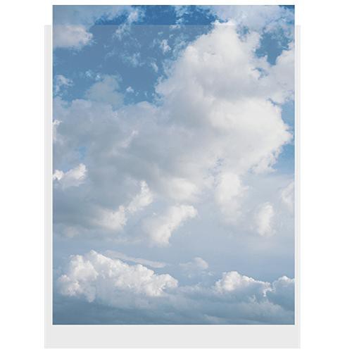 ClearFile Print Protector (8 x 10", 100-Pack)