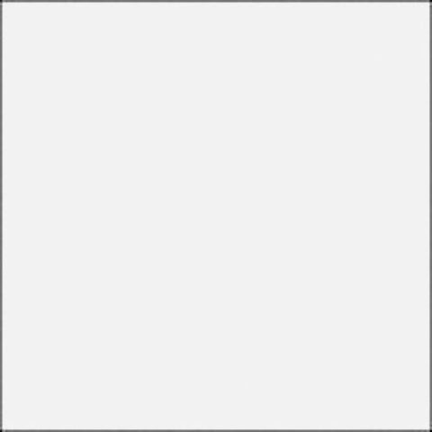 Rosco E-Colour #250 1/2 White Diffusion (21x24" Sheet)