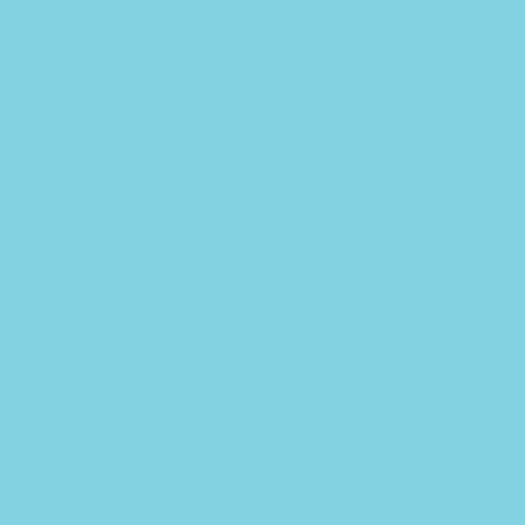 Savage Widetone Seamless Background Paper (#36 Ocean Blue, 107" x 36')