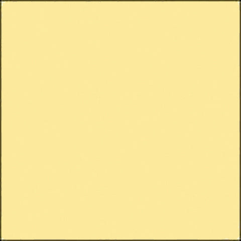 Savage Widetone Seamless Background Paper (#04 Sand, 107" x 36')