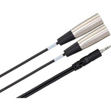 Hosa Technology Stereo Mini-Phone (3.5mm) Male to 2 XLR Male Y-Cable - 6.6'