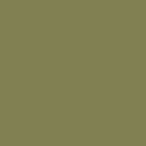 Savage Widetone Seamless Background Paper (#34 Olive Green, 53" x 36')