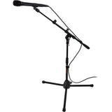 Audix D4 Hypercardioid Dynamic Instrument Microphone with MS-5220T Short Tripod Microphone Stand and Telescoping Boom