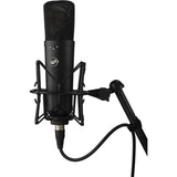 Warm Audio WA-87 R2 Large Diaphragm Condenser Microphone (Black) Bundle with Reflection Filter & Mic Stand