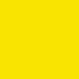 Savage Widetone Seamless Background Paper (#71 Deep Yellow, 107" x 36')