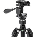 DOLICA 70" Proline Tripod with Pan and Tilt Head