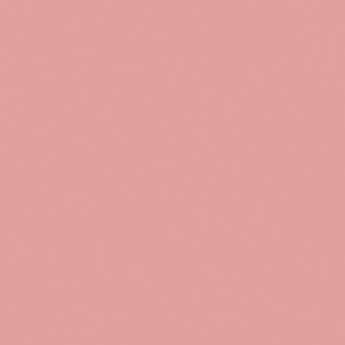 Savage Widetone Seamless Background Paper (#03 Coral, 107" x 36')