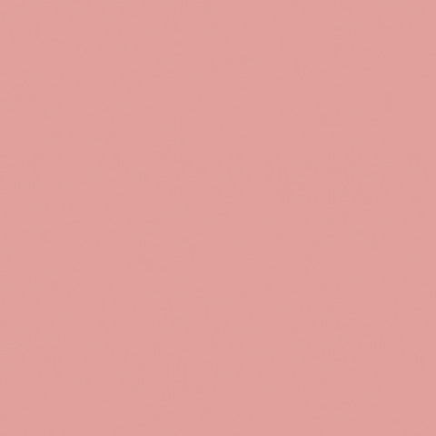 Savage Widetone Seamless Background Paper (#03 Coral, 107" x 36')