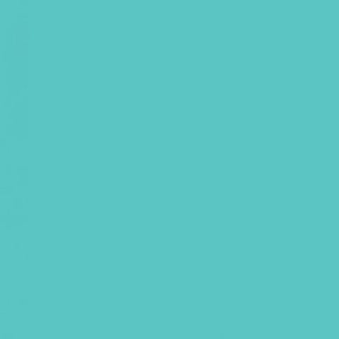 Savage Widetone Seamless Background Paper (#47 Baby Blue, 107" x 36')