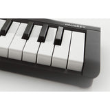 Korg microKEY2-49 USB Keyboard Controller