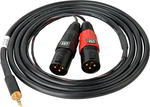 Sescom SES-IPOD-XLRM06 3.5mm Stereo to Dual XLR Male Mono Audio Cable (6')