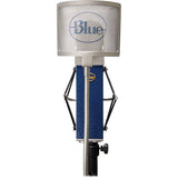Blue Blueberry Cardioid Studio Condenser Large Diaphragm Microphone with Blue Universal Wire Mesh Windscreen & Tripod Microphone Stand w/Fixed Boom Kit