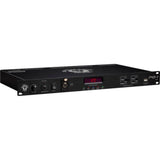 Black Lion Audio PG-1 mkII 10-Outlet Rackmount Power Conditioner (1 RU) Bundle with 2x Comprehensive Cable PWC-BK-3 Molded Power Cable, Black