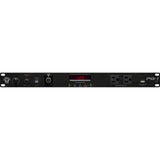 Black Lion Audio PG-1 mkII 10-Outlet Rackmount Power Conditioner (1 RU)