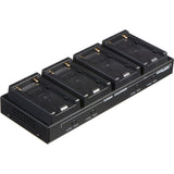 Dolgin Engineering TC40 Four-Position Simultaneous Battery Charger for Sony L-Series