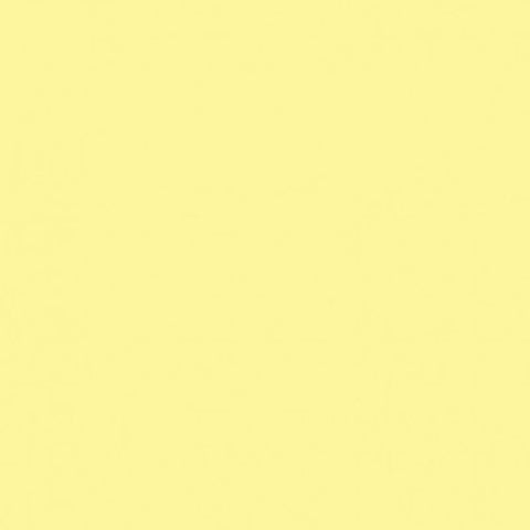 Savage Widetone Seamless Background Paper (#93 Lemonade, 107" x 36')