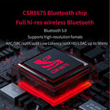 FiiO BTR5-2021 Receiver Bluetooth 5.0 Headphone Amp Hi-Res 384K/32Bit Native DSD256 USB DAC Supports LDAC/aptX HD CVC 8.0 for Phone/PC/Car/Home Audio (Regular)