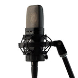 Warm Audio WA-14 Large-Diaphragm, Brass-Capsule Condenser Microphone