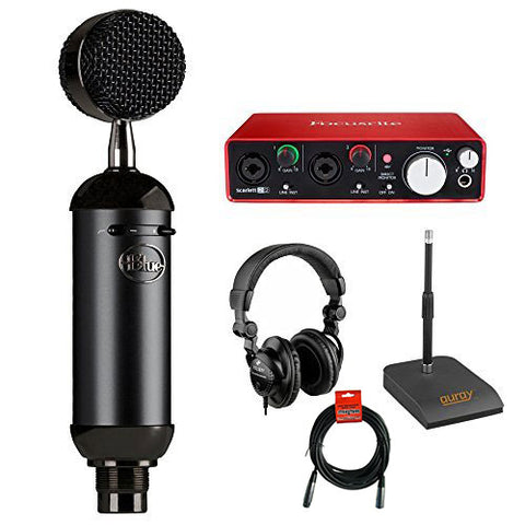 Blue Blackout Spark SL XLR Condenser Microphone with Focusrite Scarlett 2i2 USB Audio Interface, Desktop Microphone Stand, Studio Headphones and XLR-XLR Cable