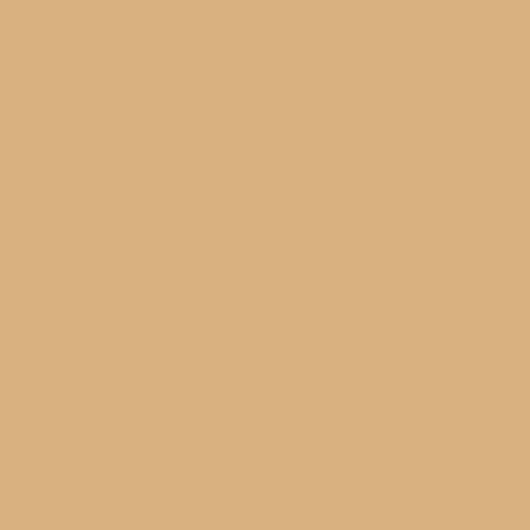 Savage Widetone Seamless Background Paper (#76 Mocha, 107" x 36')